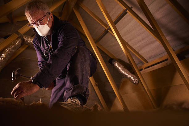 Best Types of Insulation in Diamond Bar, CA